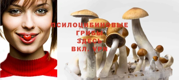 молекула духа Верхний Тагил