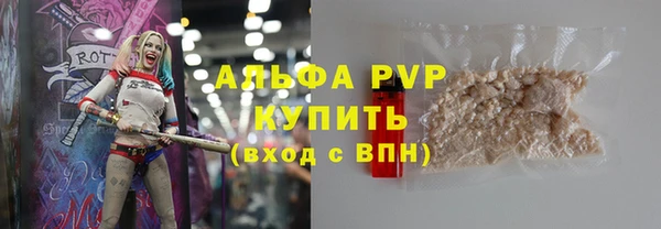 мдпв Верея