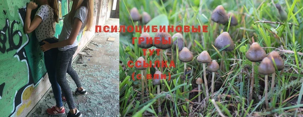 герыч Володарск