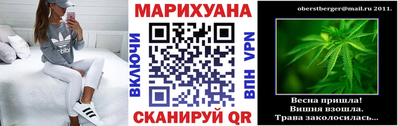 Канабис сатива Жиздра